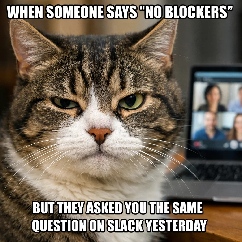 Suspicious cat side-eye meme - when someone says no blockers but asked you the same question on Slack yesterday