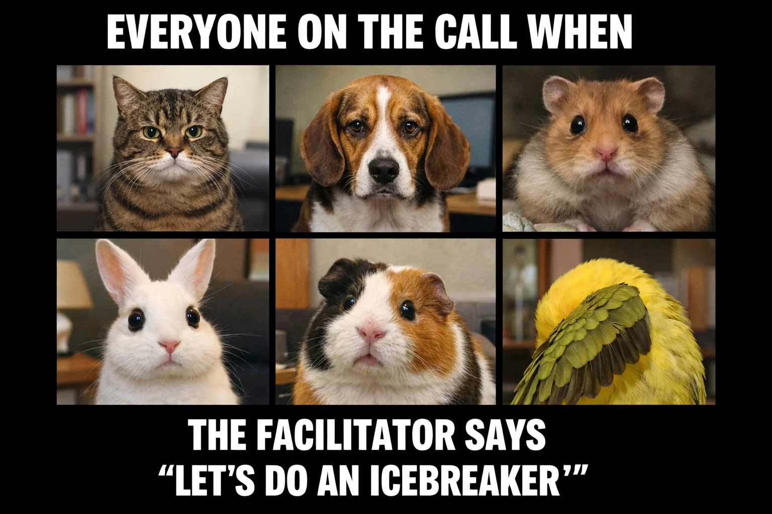 Virtual team on video call doing an icebreaker activity - engaged and smiling